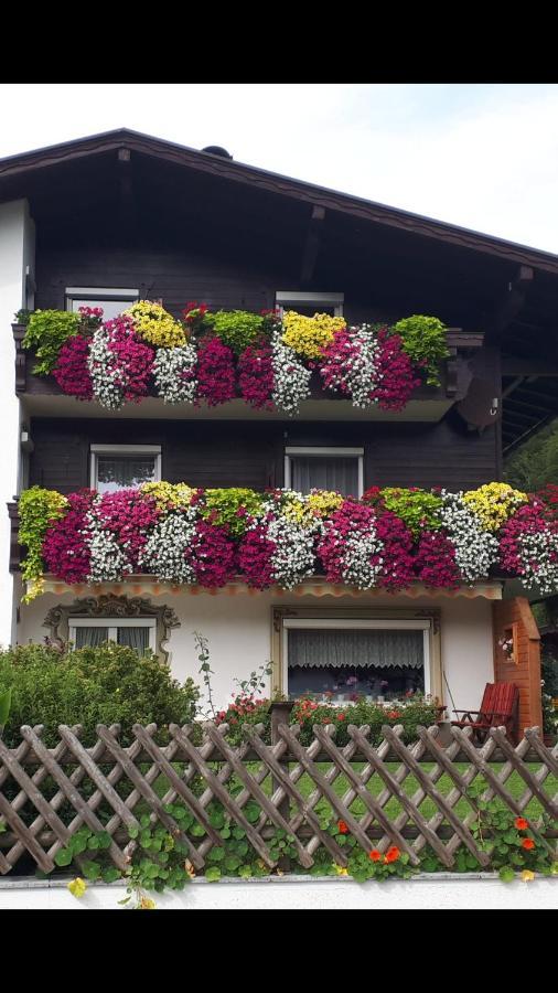 Haus Bergblick Διαμέρισμα Walchsee Εξωτερικό φωτογραφία